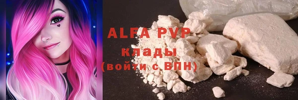 индика Белоозёрский